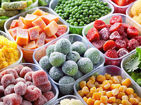 Green Paradise Facility