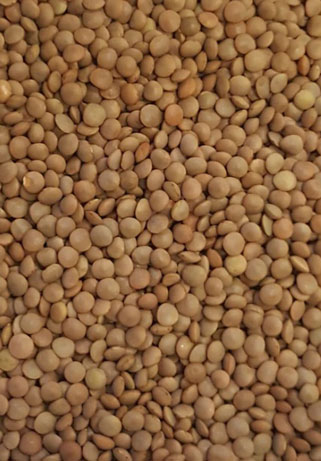 Supply Chain Transparency